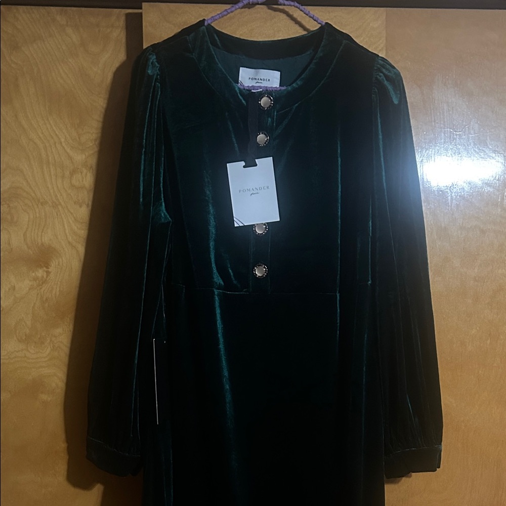 Pomander Place Green Velvet Midi Dress with Pearl and Gold Buttons